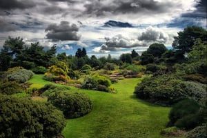Jardim Botânico de Edimburgo - Quebra-Cabeça - Geniol