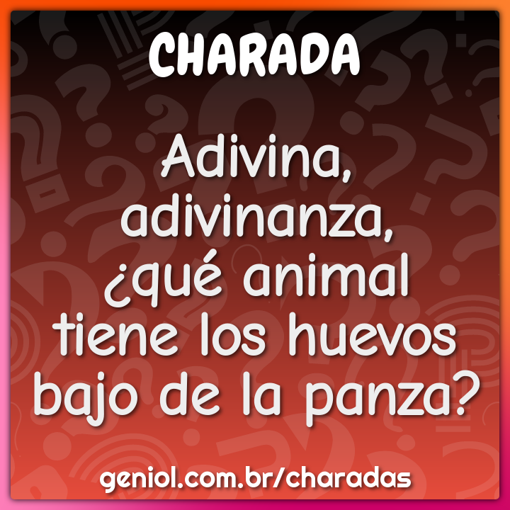 Adivina, adivinanza, ¿qué animaltiene los huevosbajo de la panza? - Charada  e Resposta - Geniol