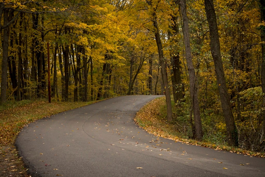 Estrada no Outono - Quebra-Cabeça - Geniol